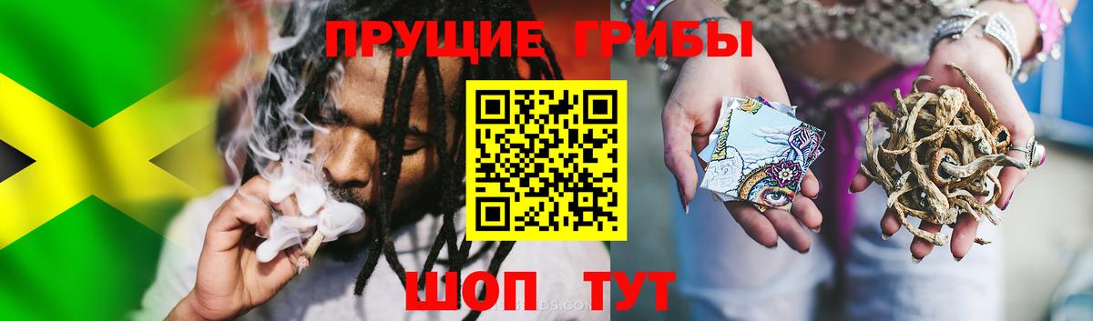 где купить наркотик  Псилоцибиновые грибы Cubensis  Вход с VPN  Чебаркуль 